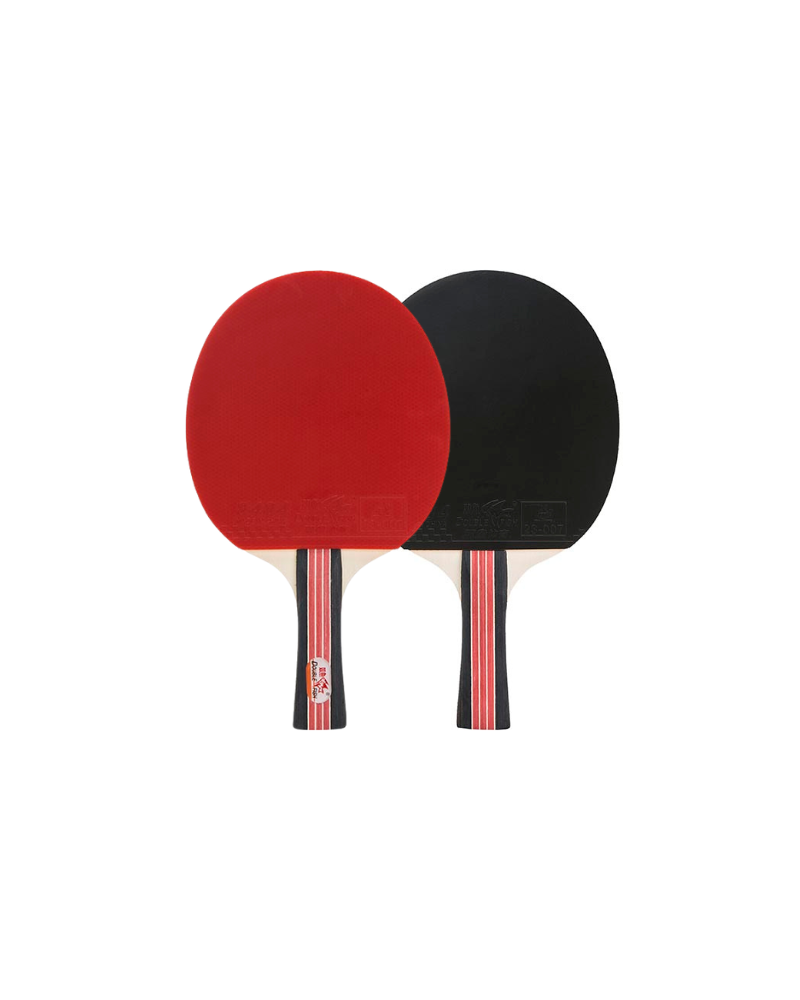 Paletka rakieta do ping pong tenis stołowy Double Fish DF-02