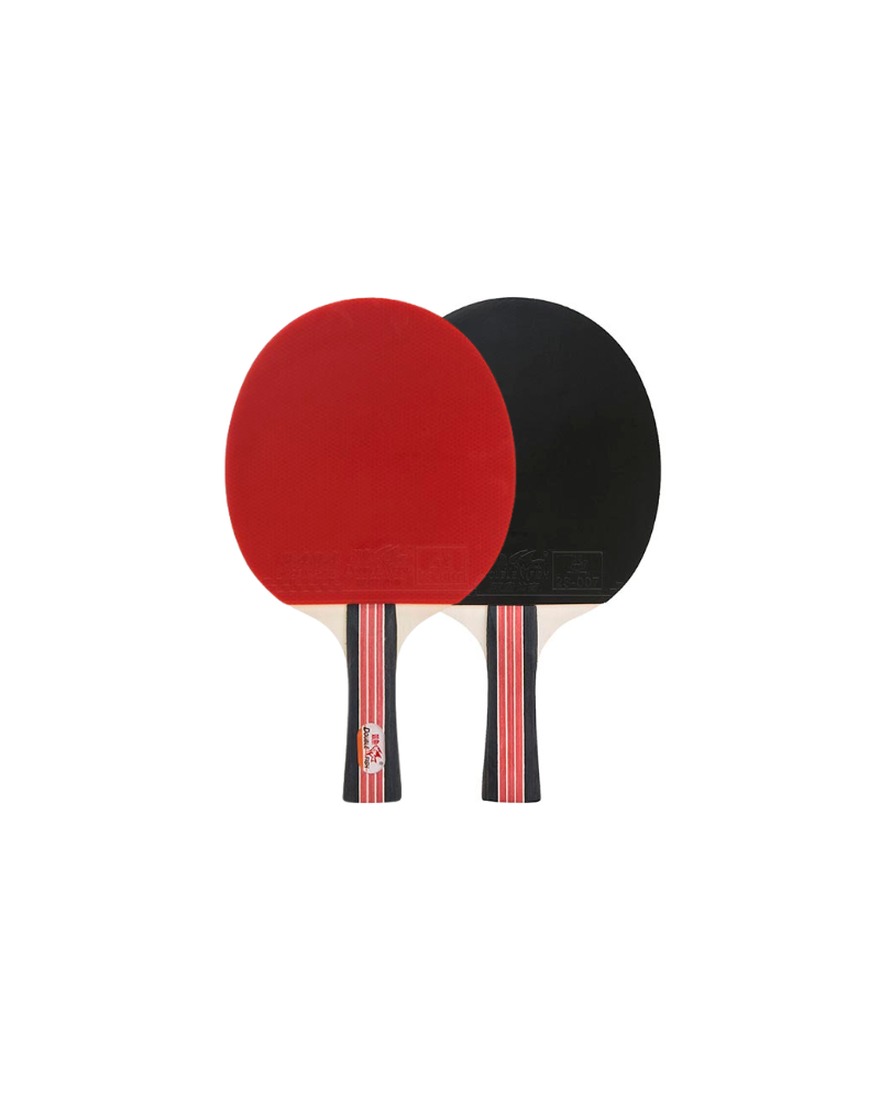 Paletka rakieta do ping pong tenis stołowy Double Fish 2D-C