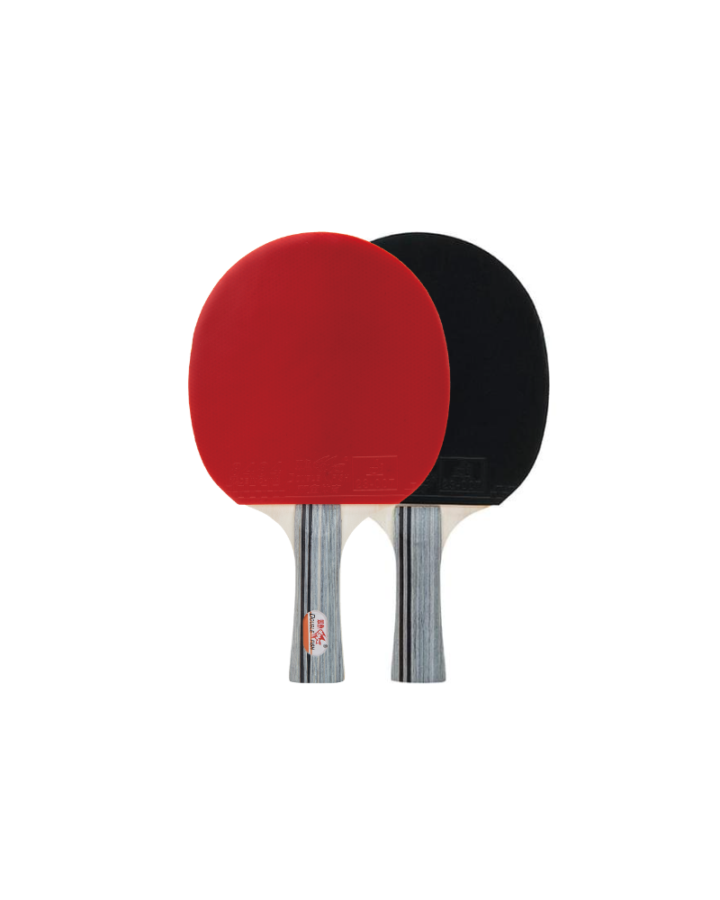 Paletka rakieta do ping pong tenis stołowy Double Fish CK107