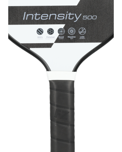 Intensity 500