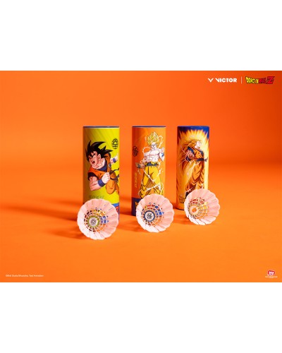 NCS-DBZ F - Limited!