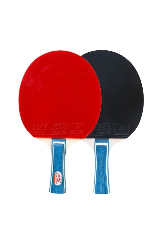 Rakieta do tenisa stołowego Double Fish DF-01
