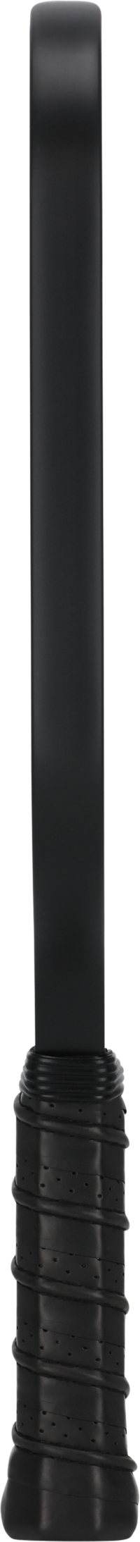 Ace P200