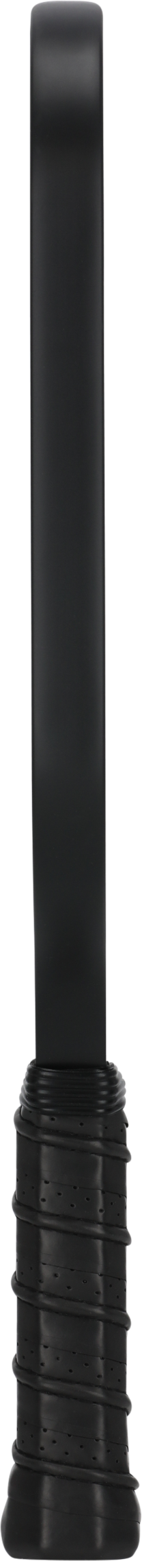 Ace P200
