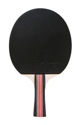 Rakieta do tenisa stołowego Double Fish DF-02