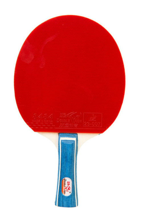 Rakieta do tenisa stołowego Double Fish DF-01